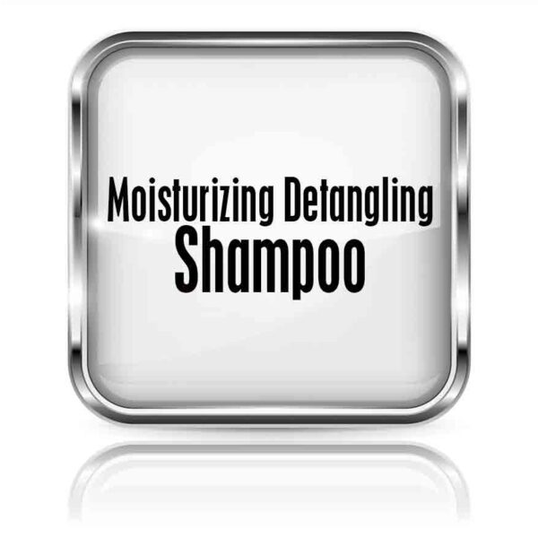 Moisturizing Detangling Shampoo 8 oz