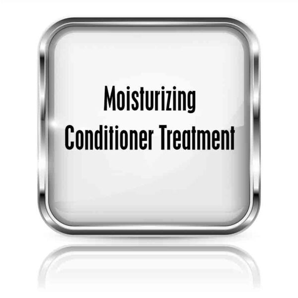 Moisturizing Conditioner Treatment